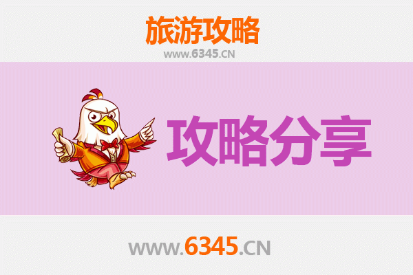 雅安雨城旅游攻略：跟团与自由行全方位对比