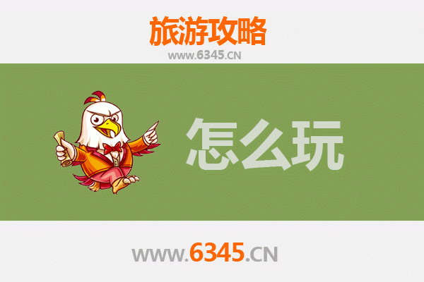 节假日雅安雨城旅游全攻略：品味雨城慢生活，邂逅自然与人文之美